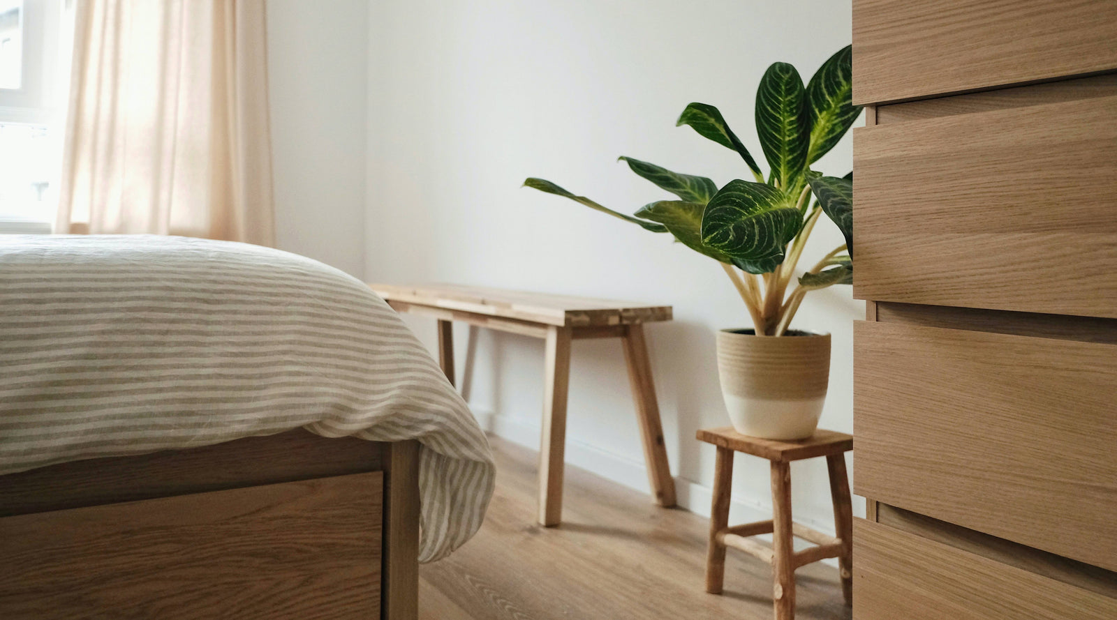 Mattress with striped comforter on wood bed frame with rubber plant on wood stool.