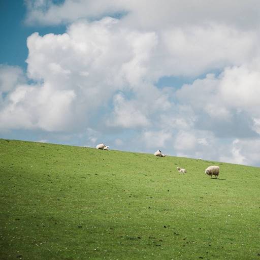 Flock of sheep on green grassy hill with blue skies and white clouds.