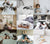 Collage of six pictures of people sleeping on a Spindle mattress.